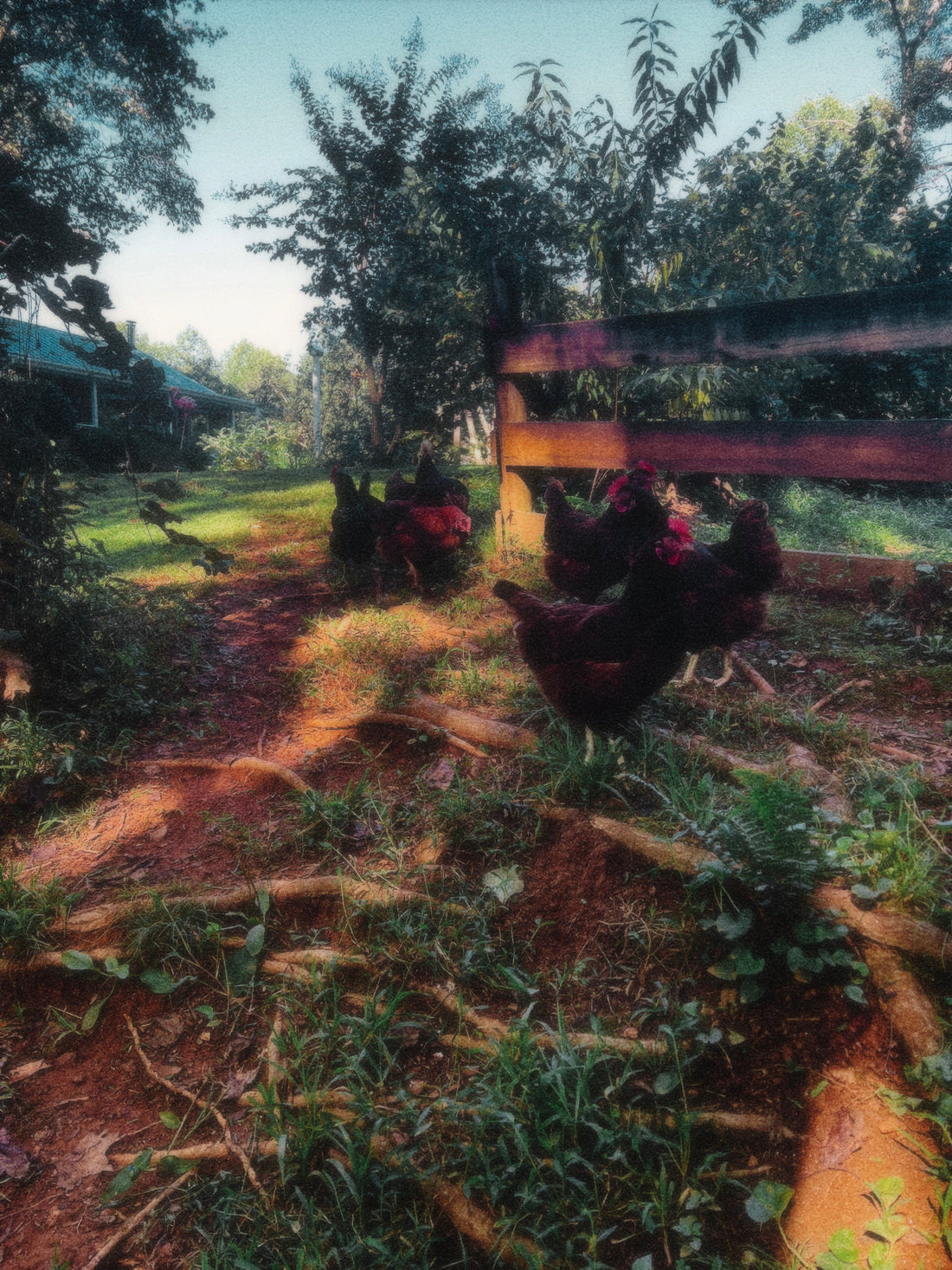 Maybe Life Is Just Beginning 🕊️