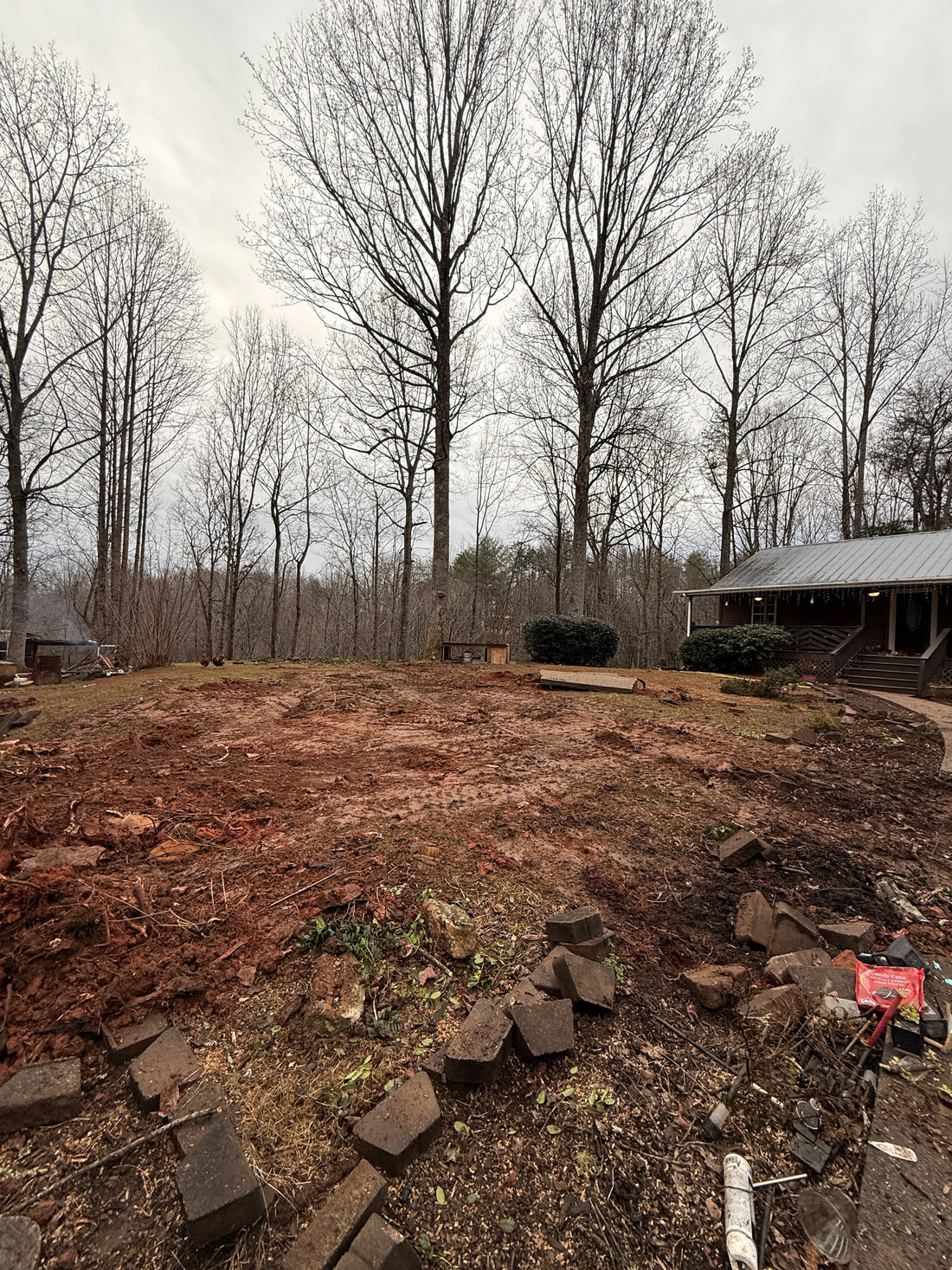 ⭐ The Messy Beginning of Our Shire-Inspired Mini Farm