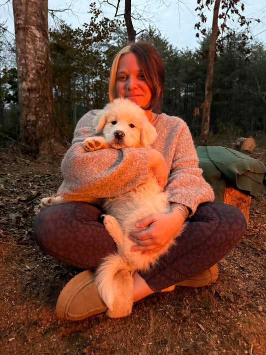 So We Bought Land and Accidentally Started a Farm