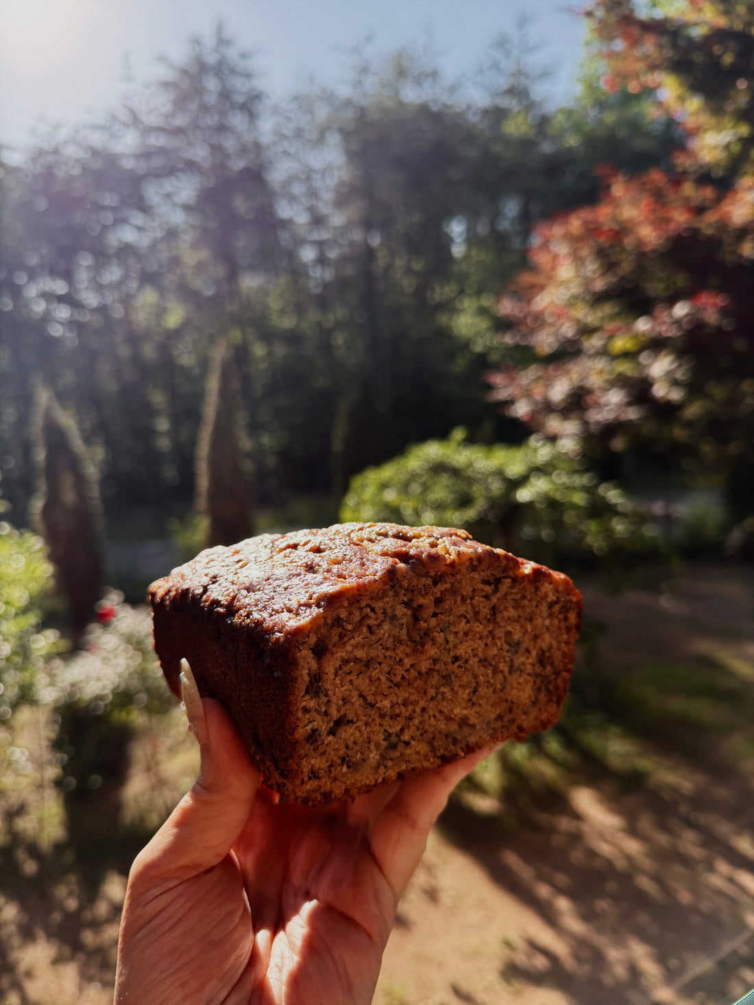 Maple cinnamon banana bread held in a hand against sunlit woodland.