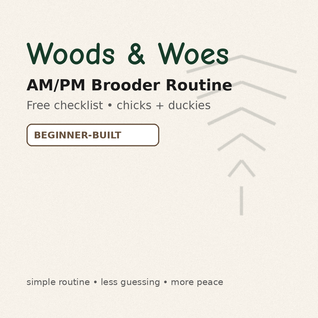 AM/PM Brooder Plan (Free)